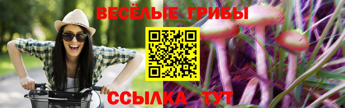Буйнакск  Псилоцибиновые грибы мухоморы  Псилоцибиновые грибы Psilocybe  Вход с VPN 